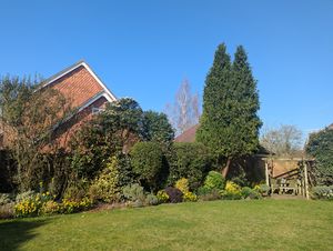 Photo 23- click for photo gallery